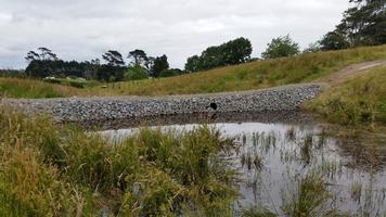 Construction Of Pond And Dam